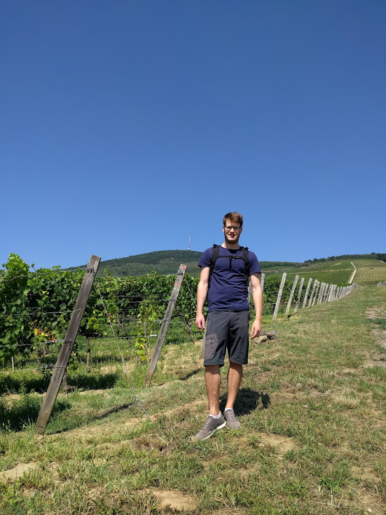 Ari dans les vignobles du Tokaj