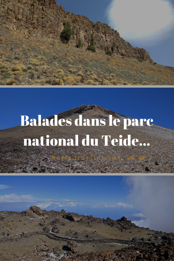 Balades dans le parc national du Teide... - Nomad Turtles