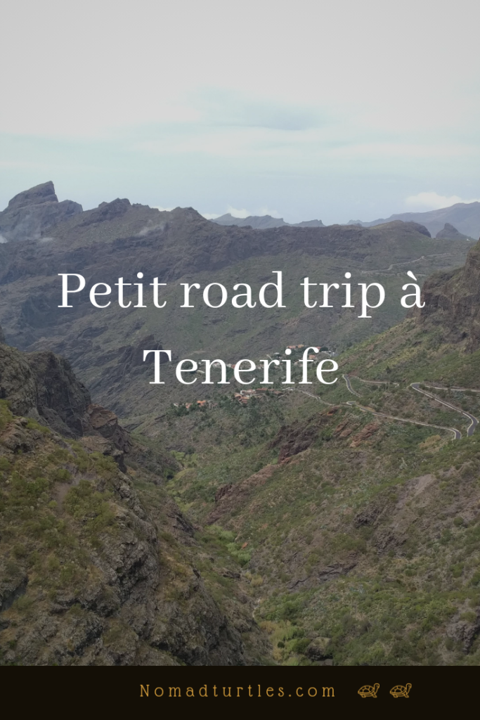 Petit road trip à Tenerife - Nomadturtles