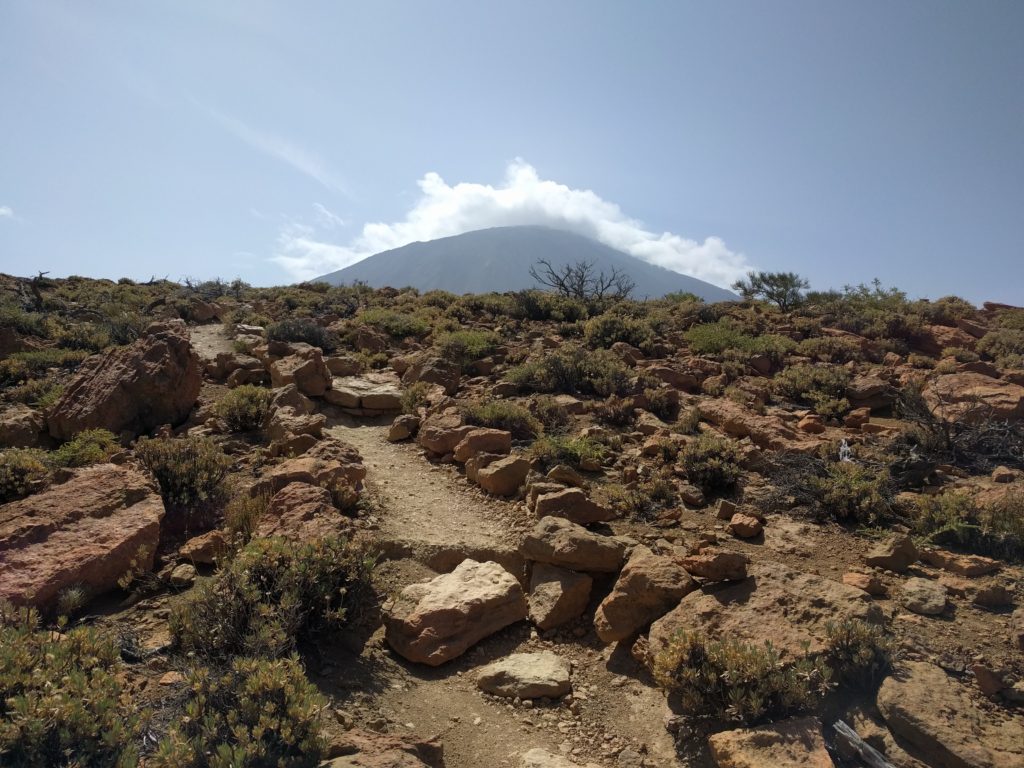 Vue du haut de la Fortaleza - Parc National du Teide