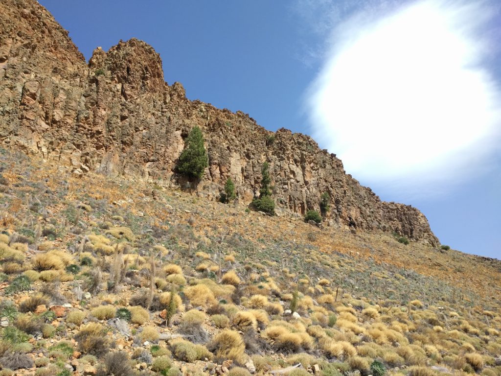 La Fortaleza dans le parc national du Teide