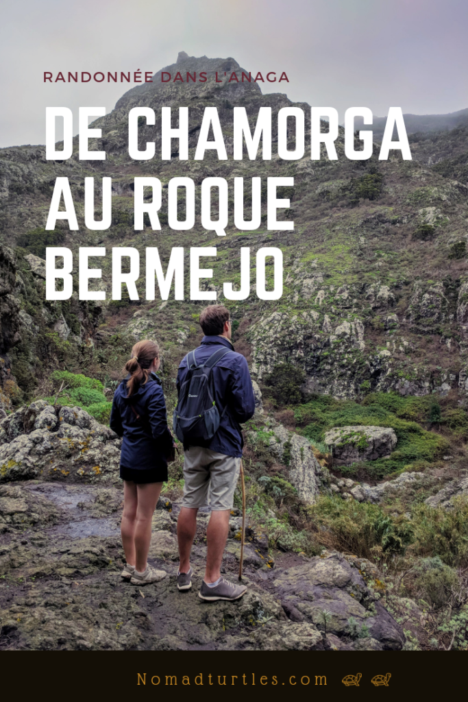 De Chamorga au Roque Bermejo - Randonnée dans l'Anaga - Nomad Turtles