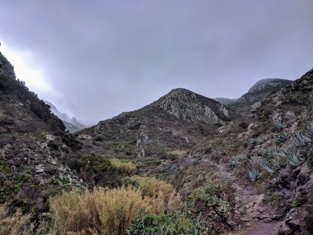 Sur le sentier de Chamorga a Roque Bermejo - Anaga