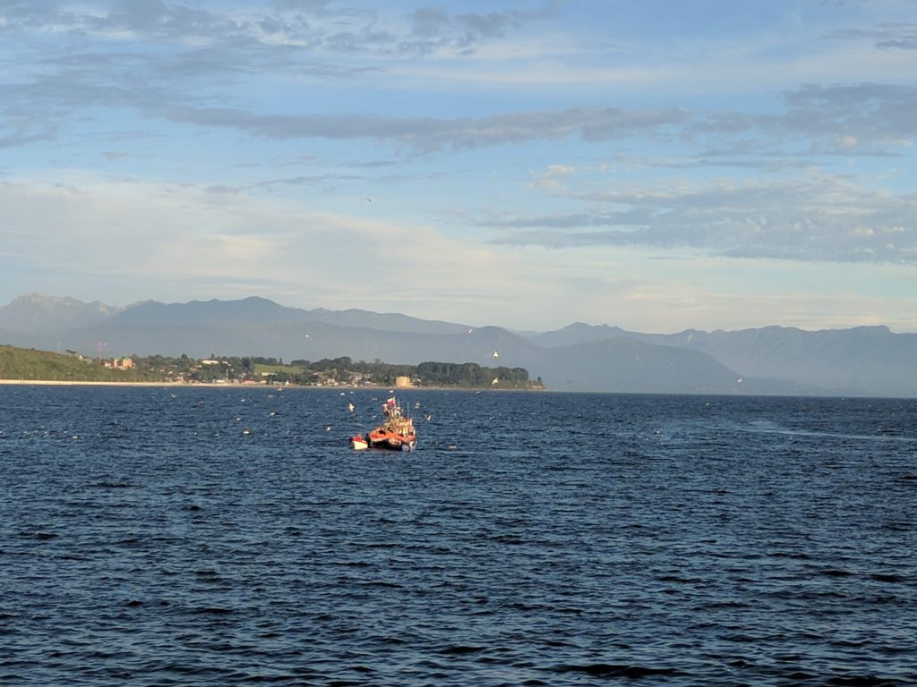 Petit bateau au large de Puerto Montt - Chili