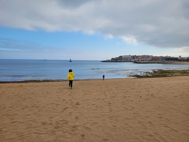 leo sur la plage de poniente gijon asturies