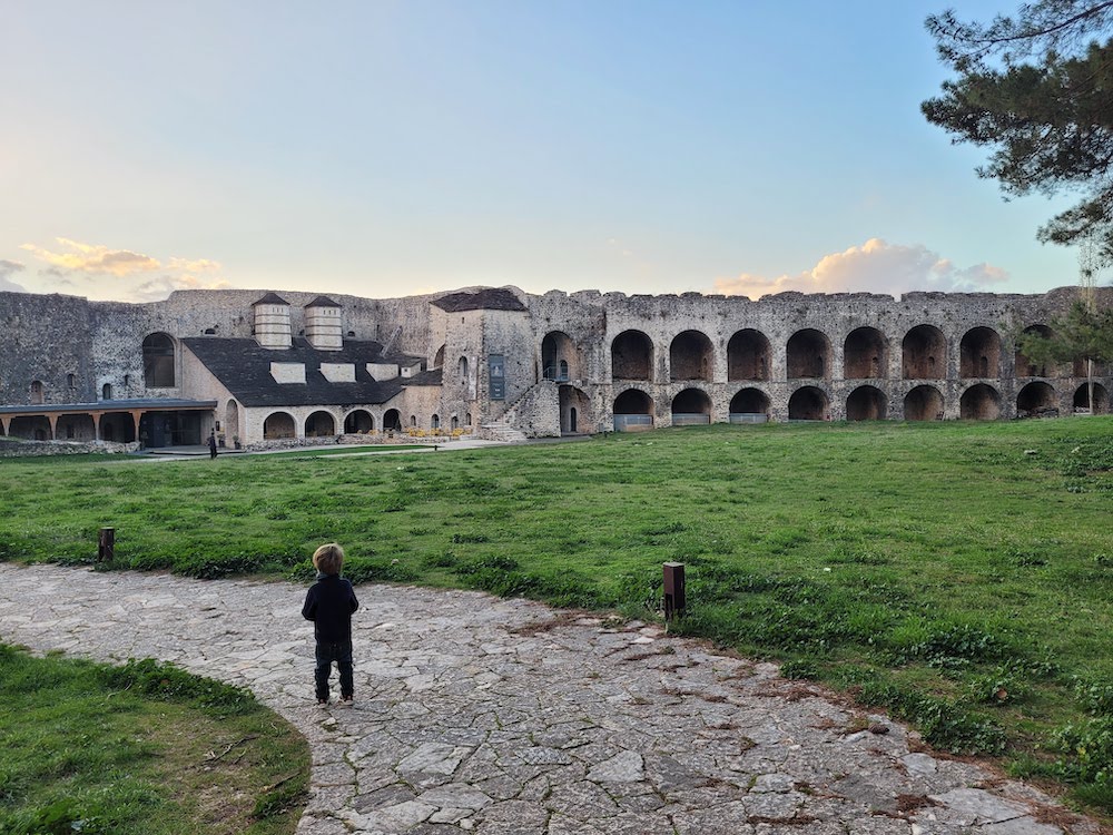 leo dans la citadelle