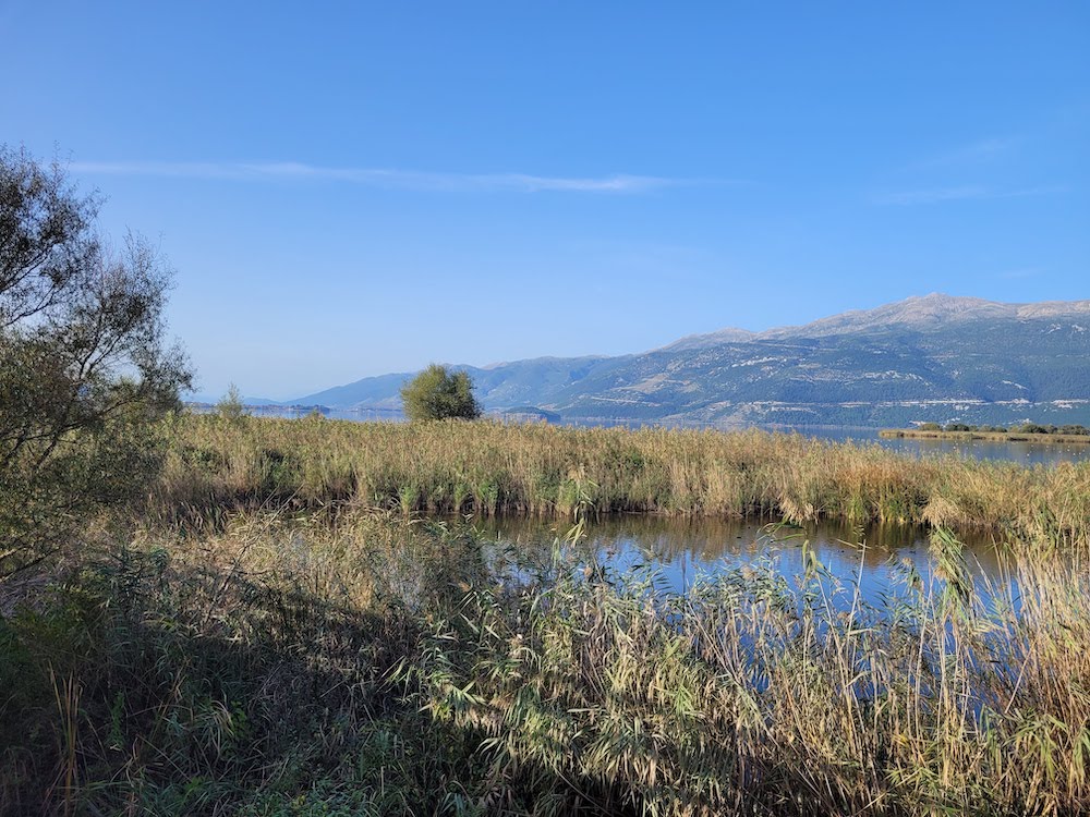 vue du pont en bois