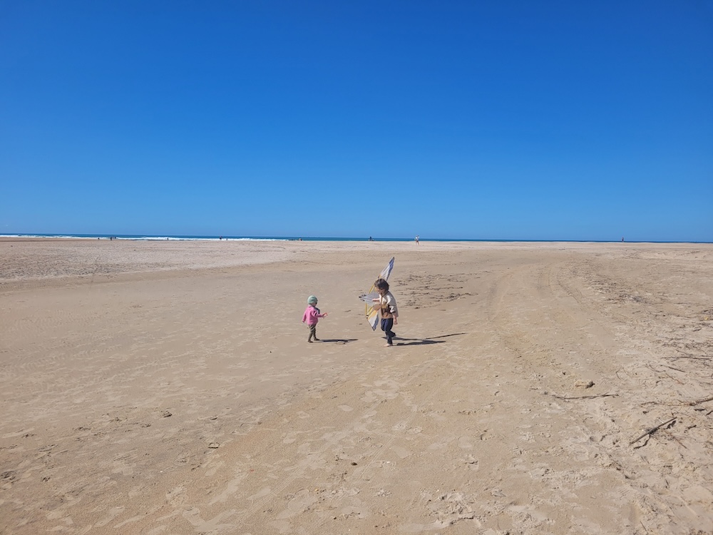 cerf volant a conil