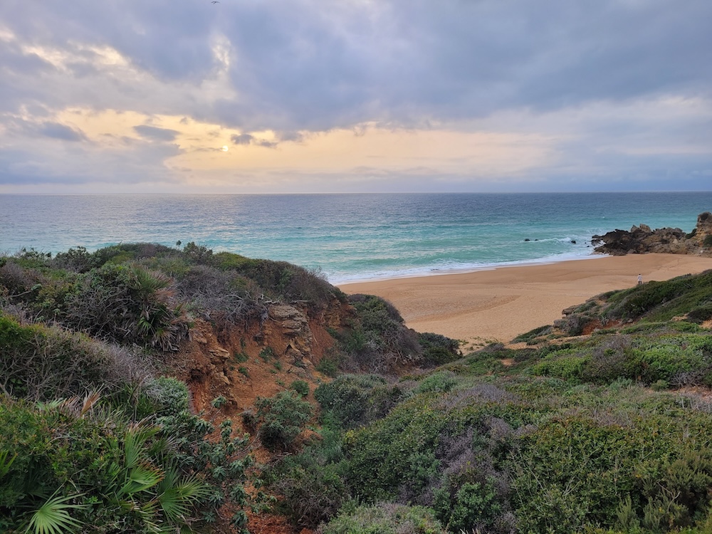 plage roche