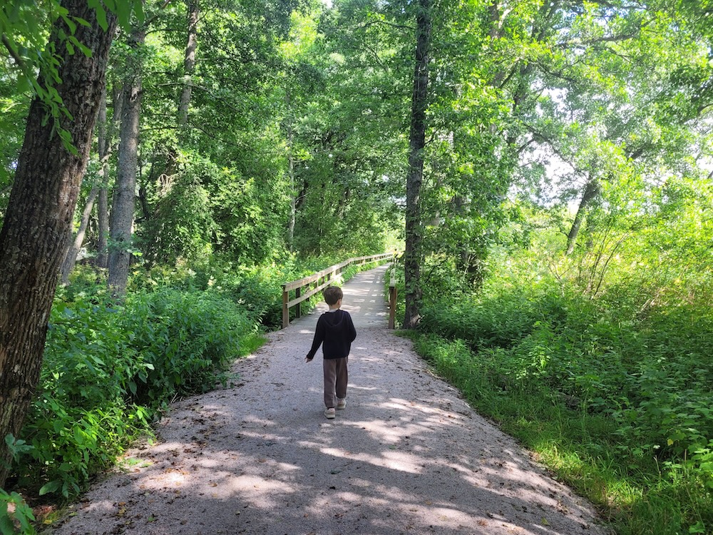 leo dans la foret en finlande
